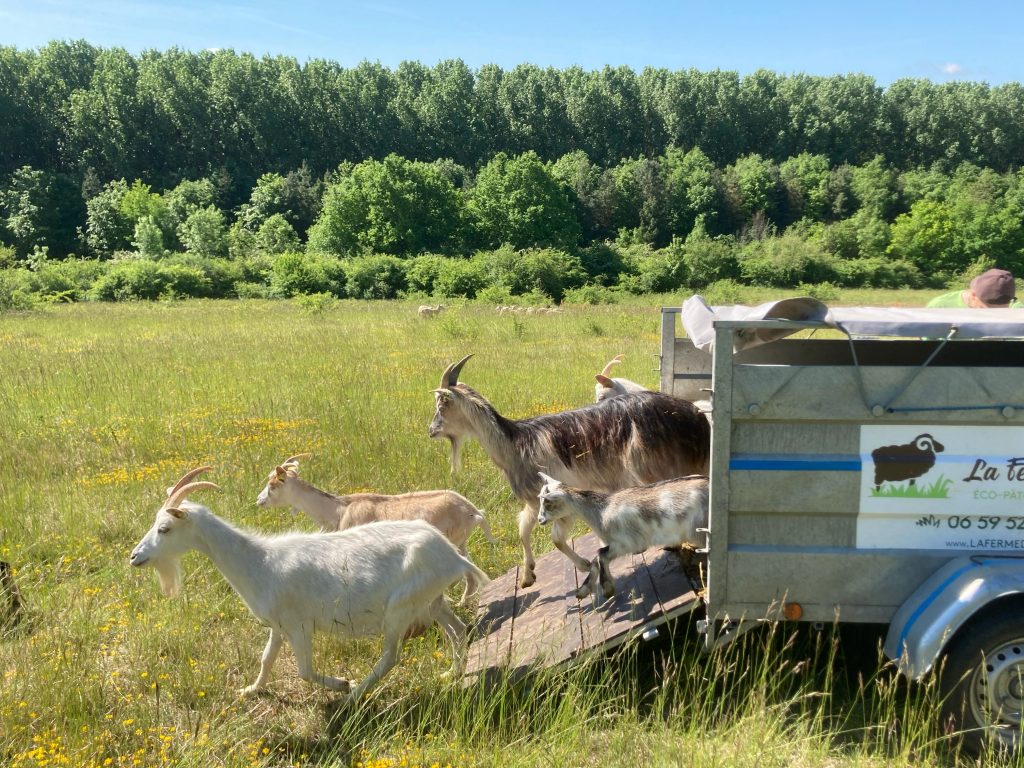 eco paturage eure